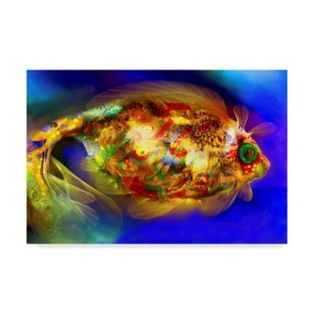 RUNA 'Golden Fish 1' Canvas Art,12x19